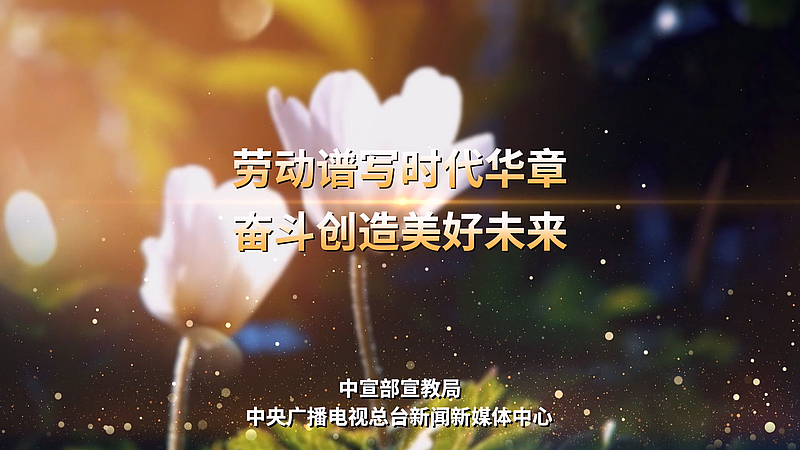 劳动者的双手