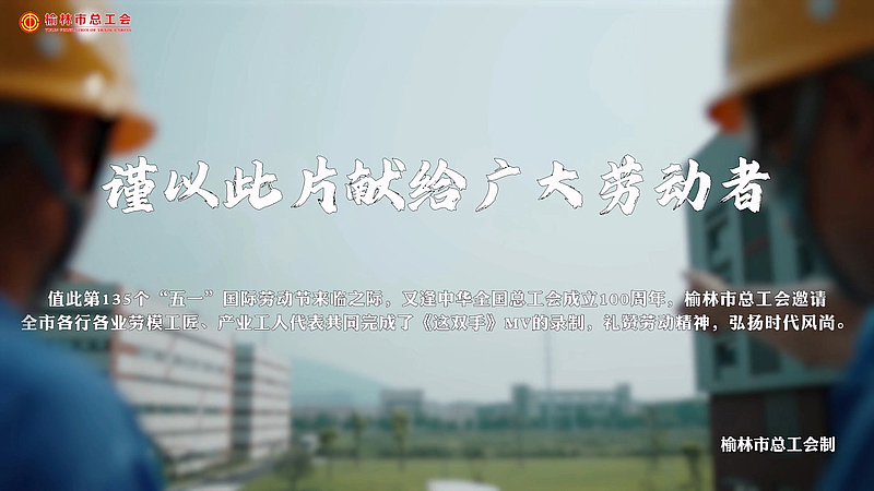 这双手
