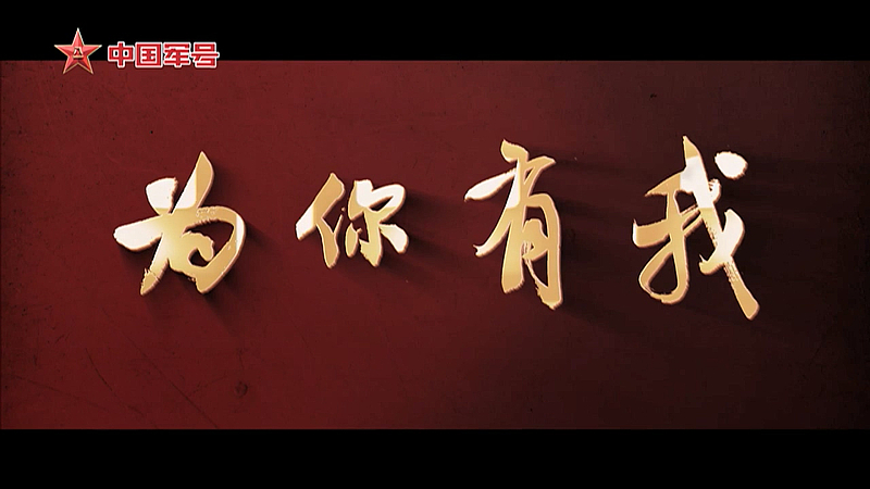 为你有我——中国空军