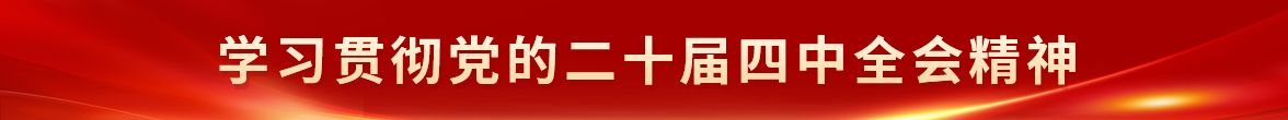 学习贯彻党的二十届四中全会精神
