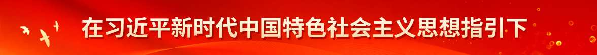 在习近平新时代中国特色社会主义思想指引下